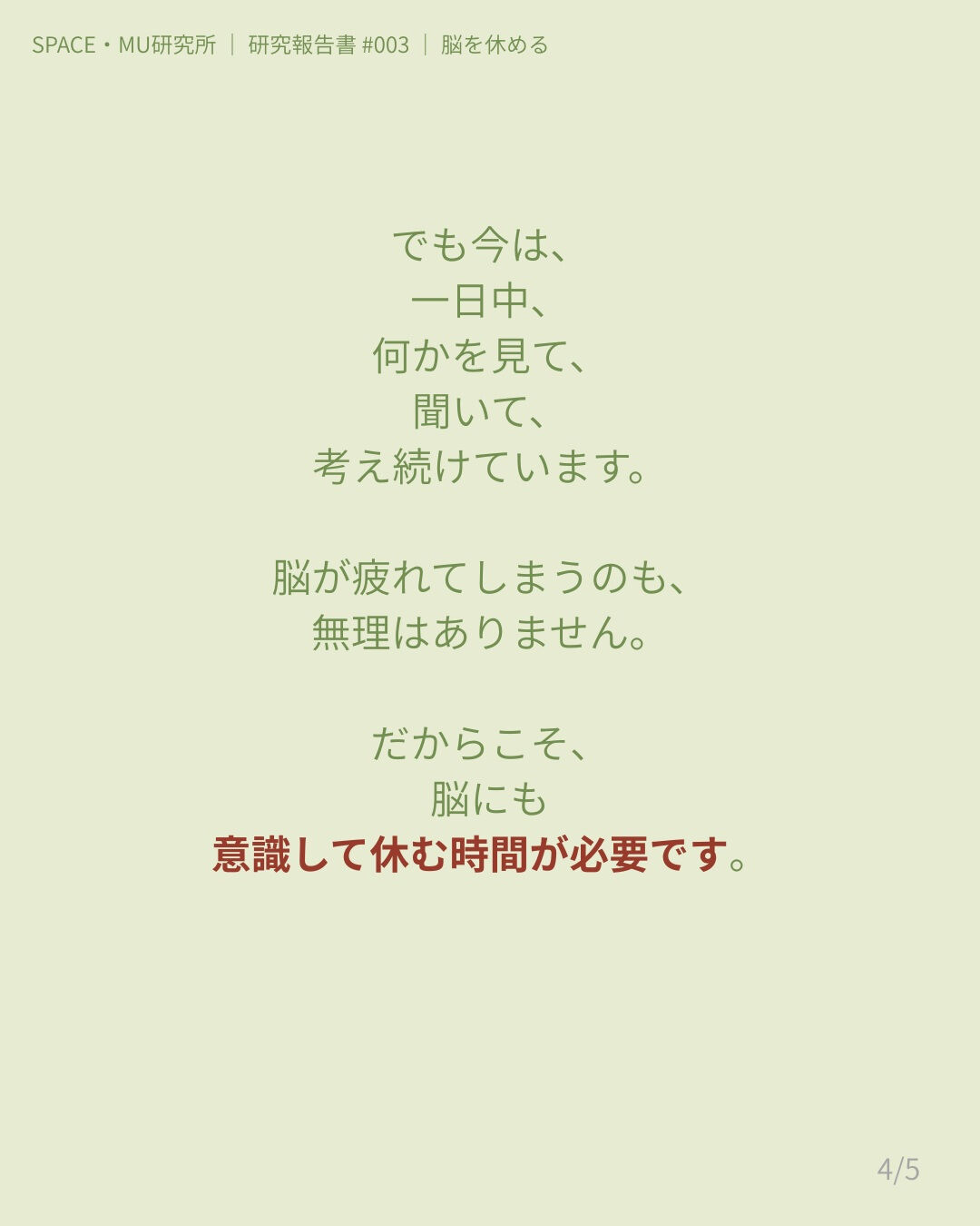 🌷🌷🌷🌷🌷